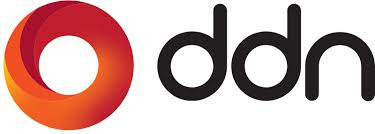 Logo di DDN Storage